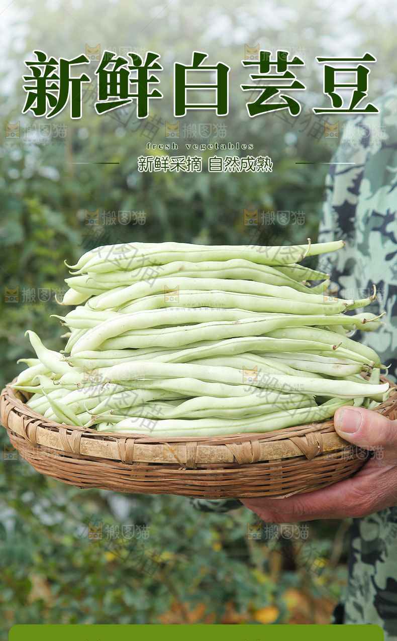 白芸豆详情页