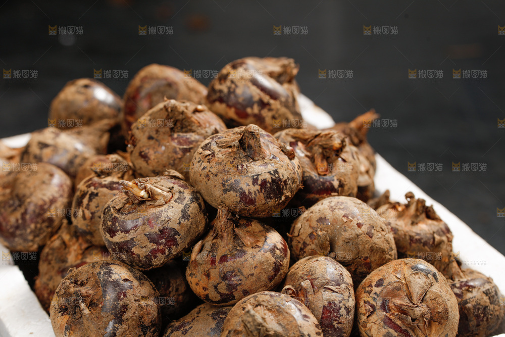深底上的马蹄