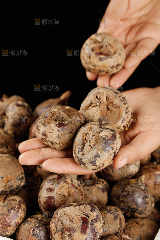 深底上的马蹄