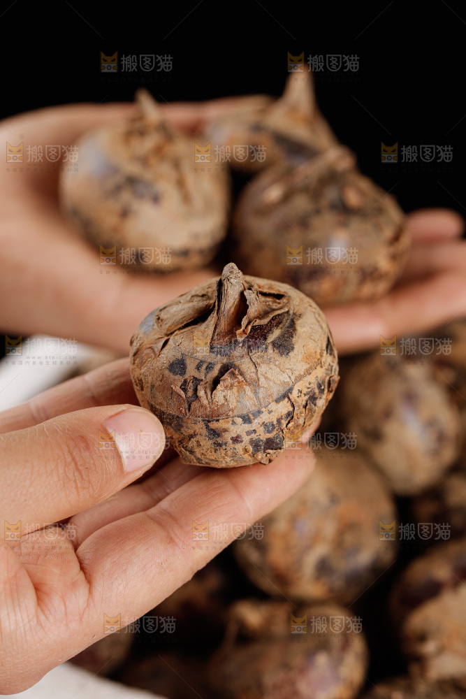 深底上的马蹄
