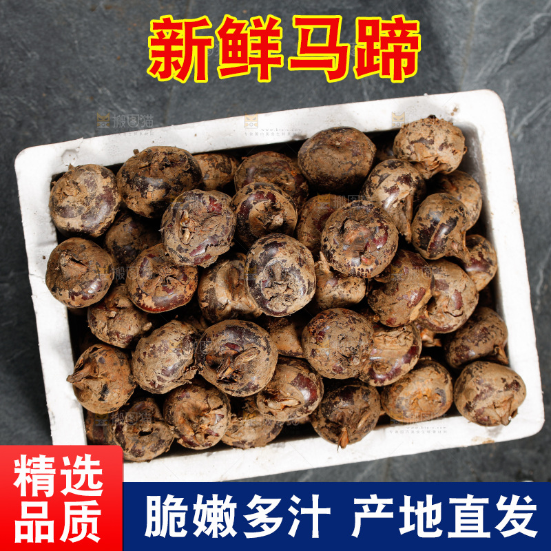 深底上的马蹄