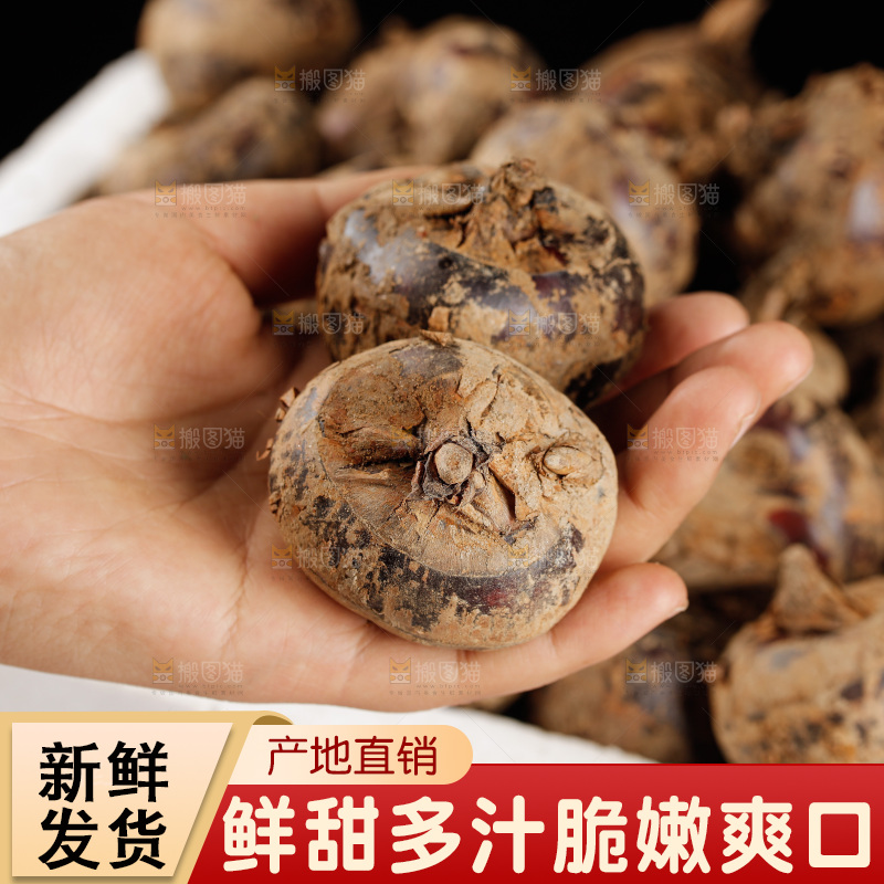 深底上的马蹄