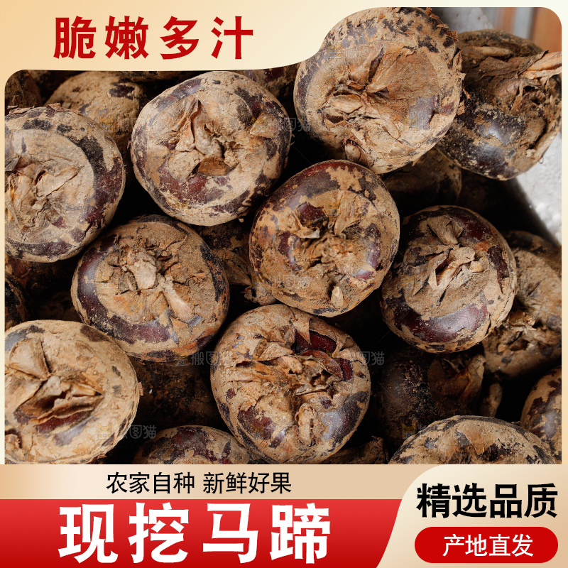 深底上的马蹄