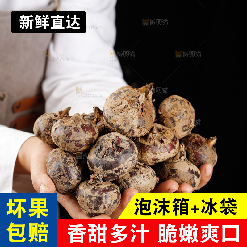 深底上的马蹄
