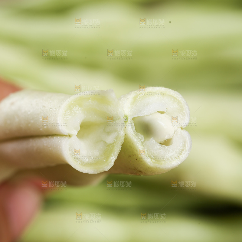 深底上的白芸豆角