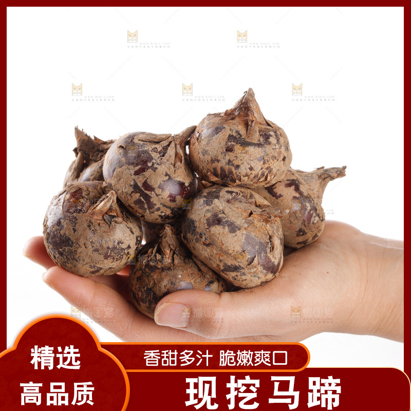 白底上的马蹄