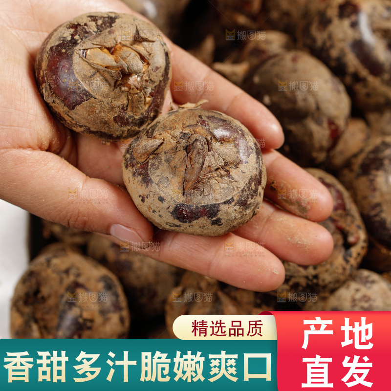 深底上的马蹄