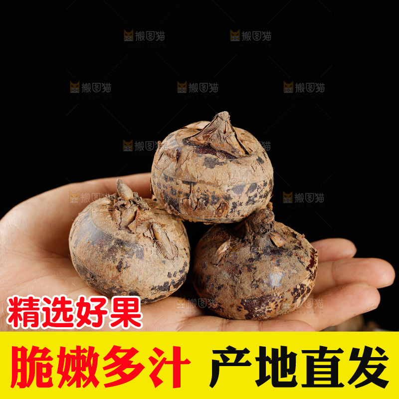 深底上的马蹄