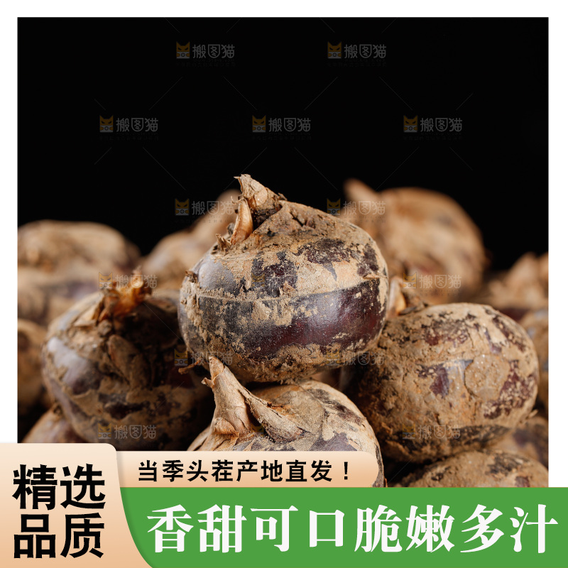 深底上的马蹄