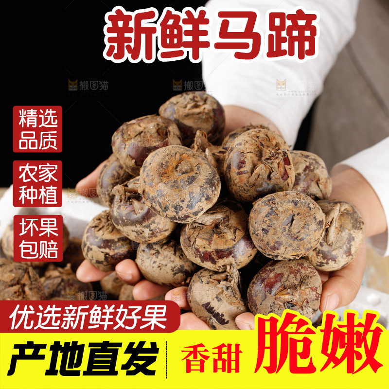 深底上的马蹄