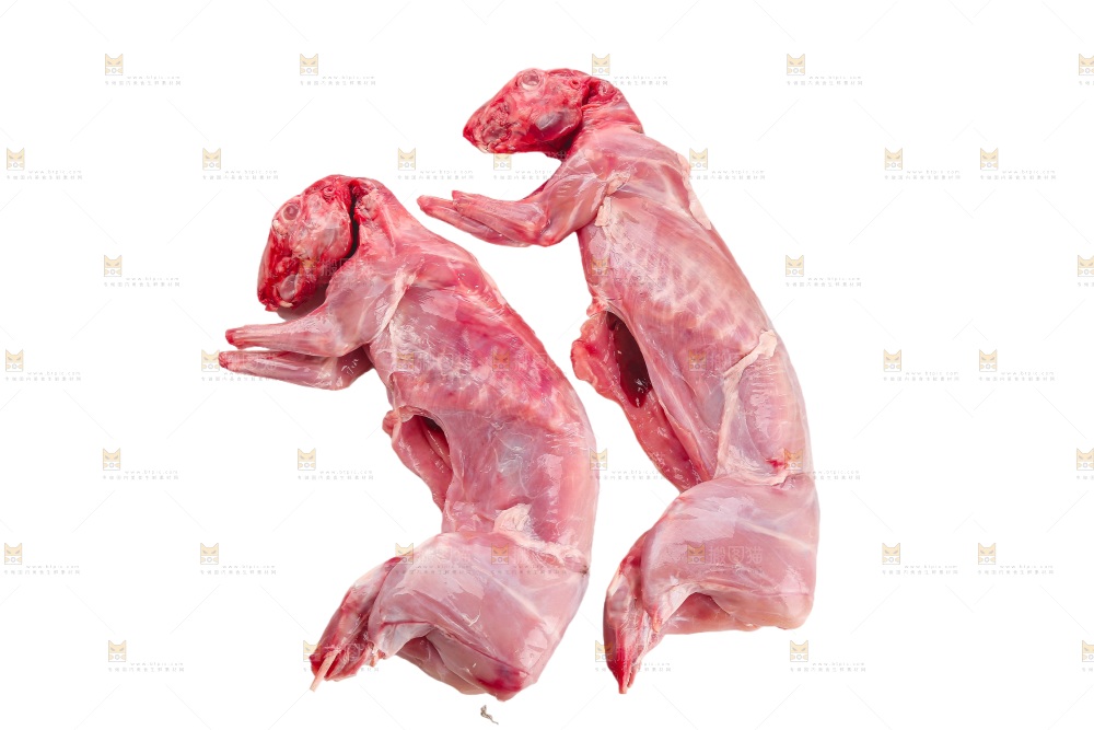 白底上的新鲜兔肉