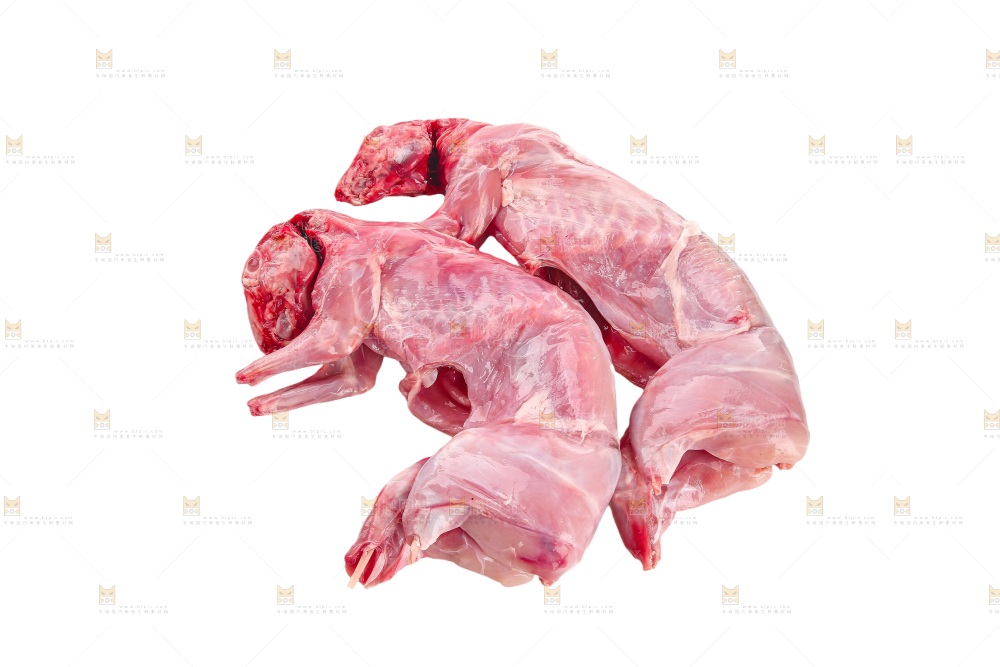 白底上的新鲜兔肉