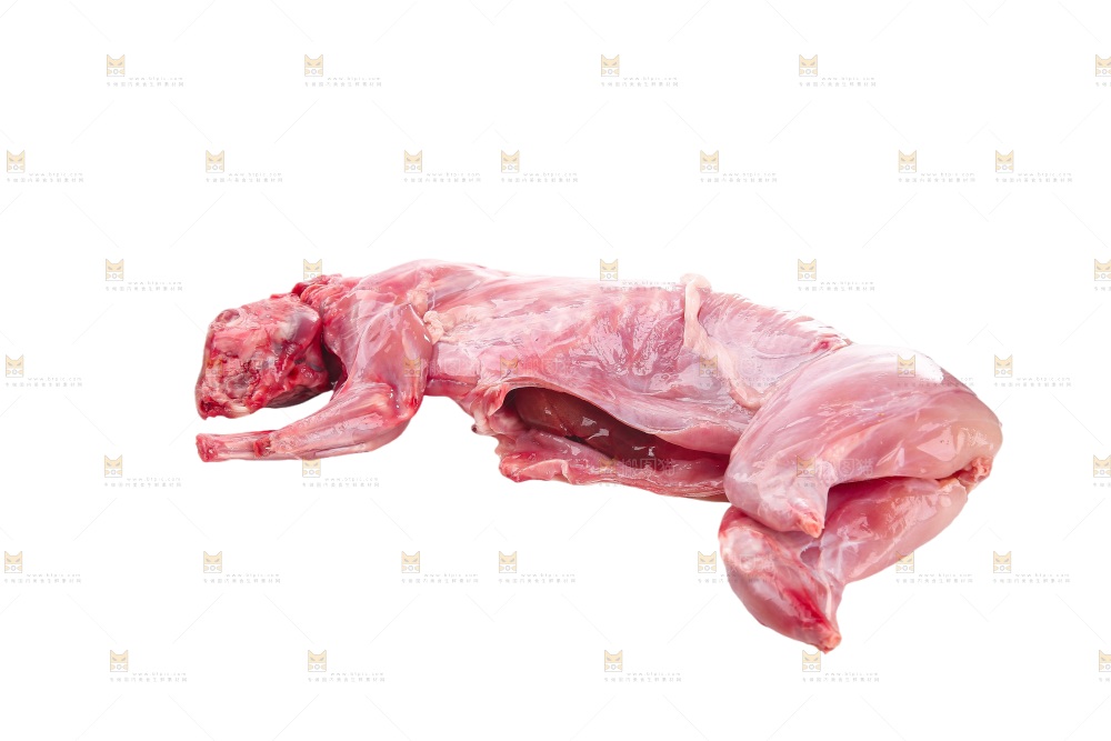 白底上的新鲜兔肉