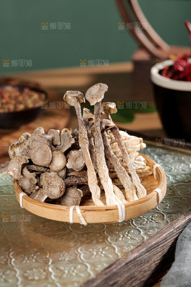 深底上的鹿茸菌