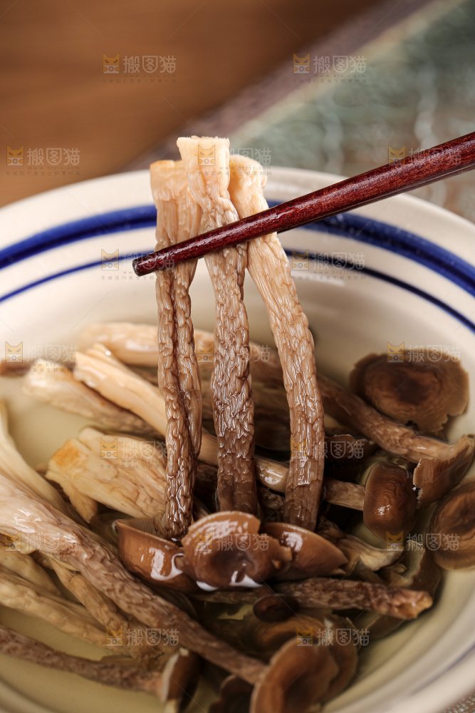 深底上的鹿茸菌