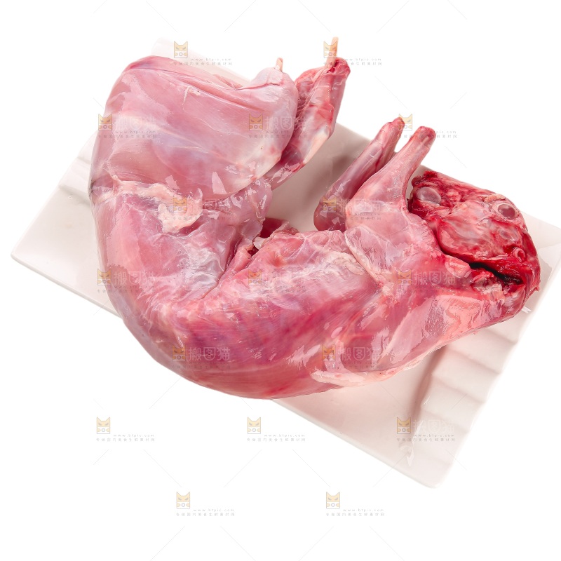 白底上的新鲜兔肉