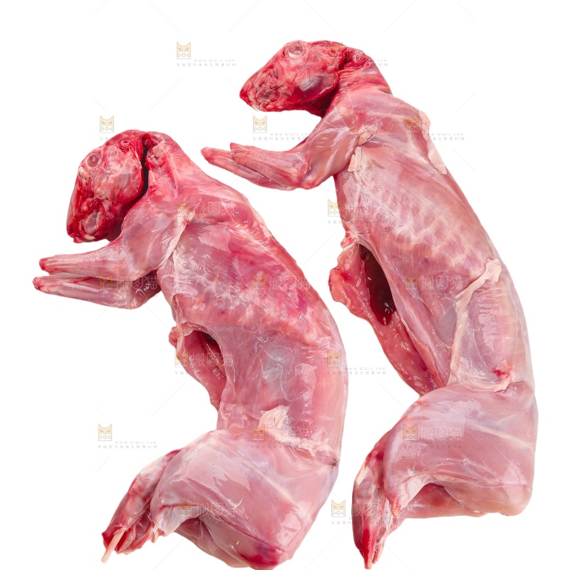 白底上的新鲜兔肉