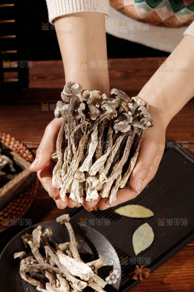 深色底上鹿茸菇