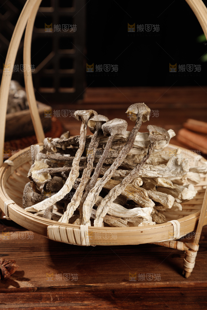深色底上鹿茸菇