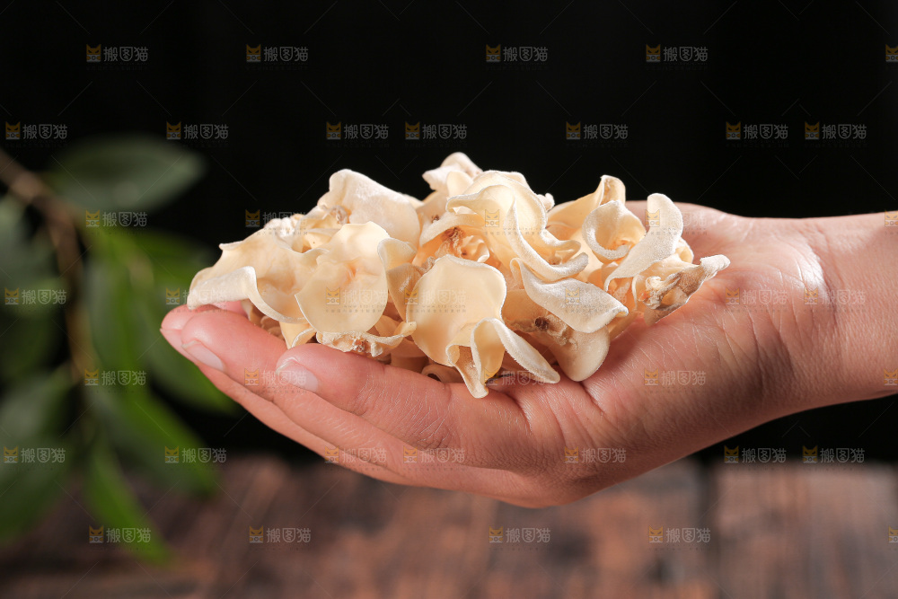 深底上白玉木耳
