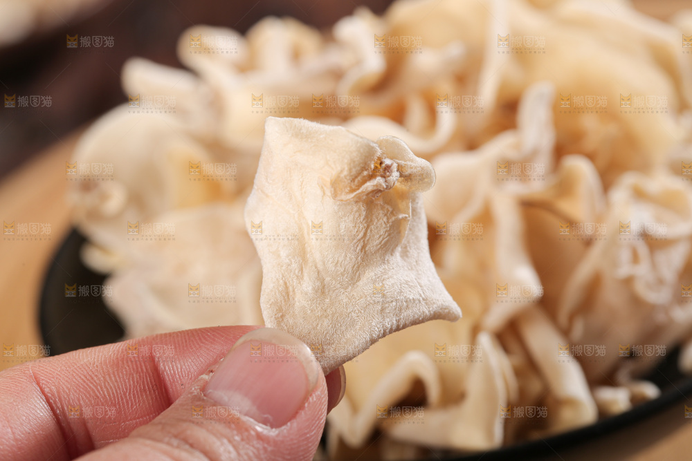 深底上白玉木耳