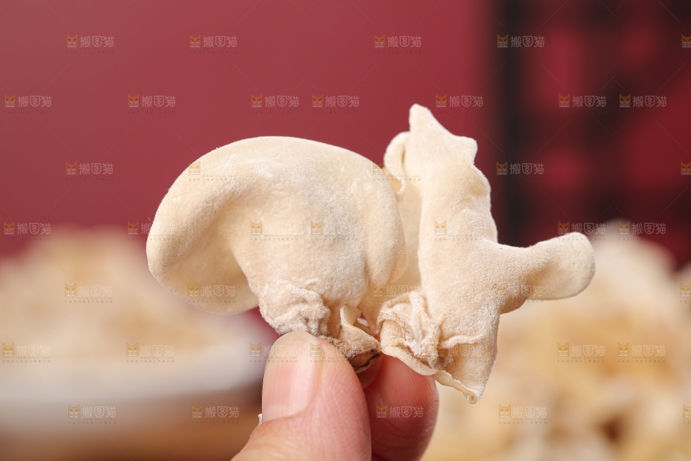 深底上白玉木耳