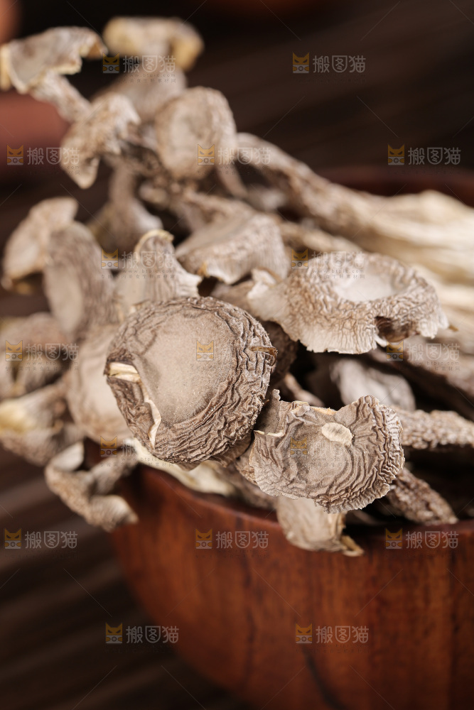 深底上鹿茸菇