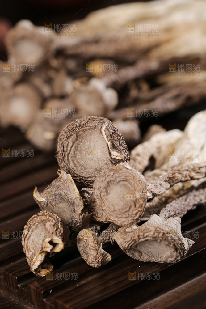 深底上鹿茸菇