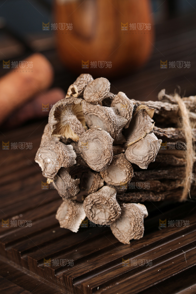 深底上鹿茸菇