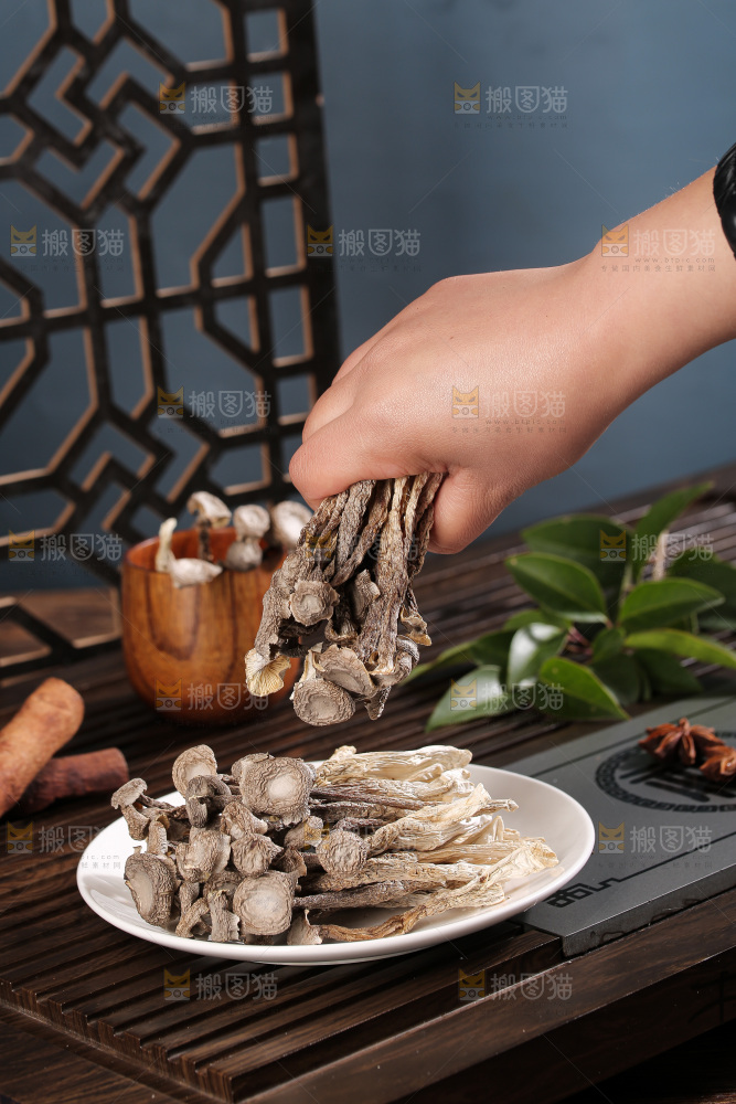 深底上鹿茸菇