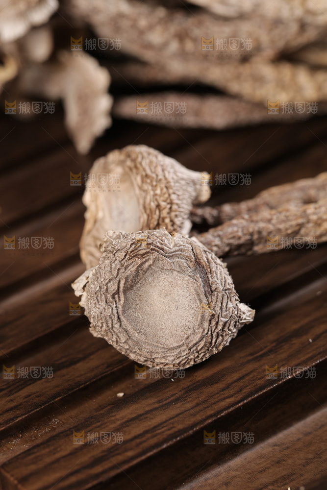深底上鹿茸菇