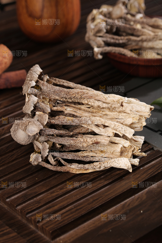 深底上鹿茸菇