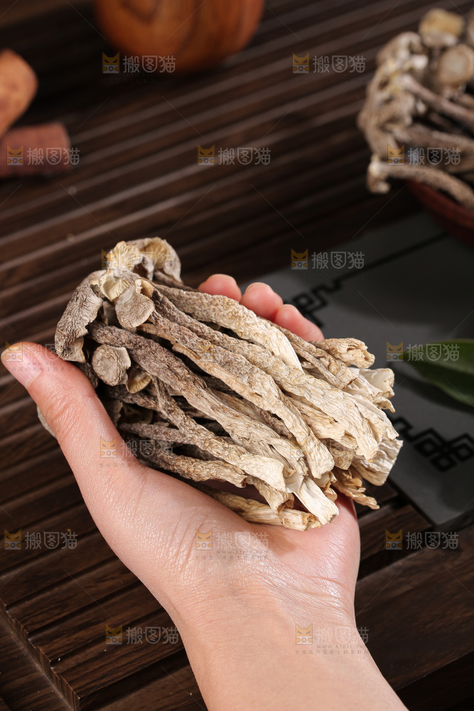 深底上鹿茸菇