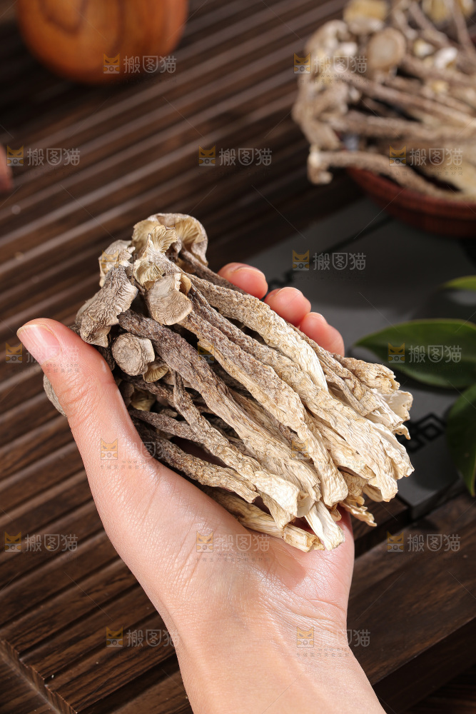 深底上鹿茸菇