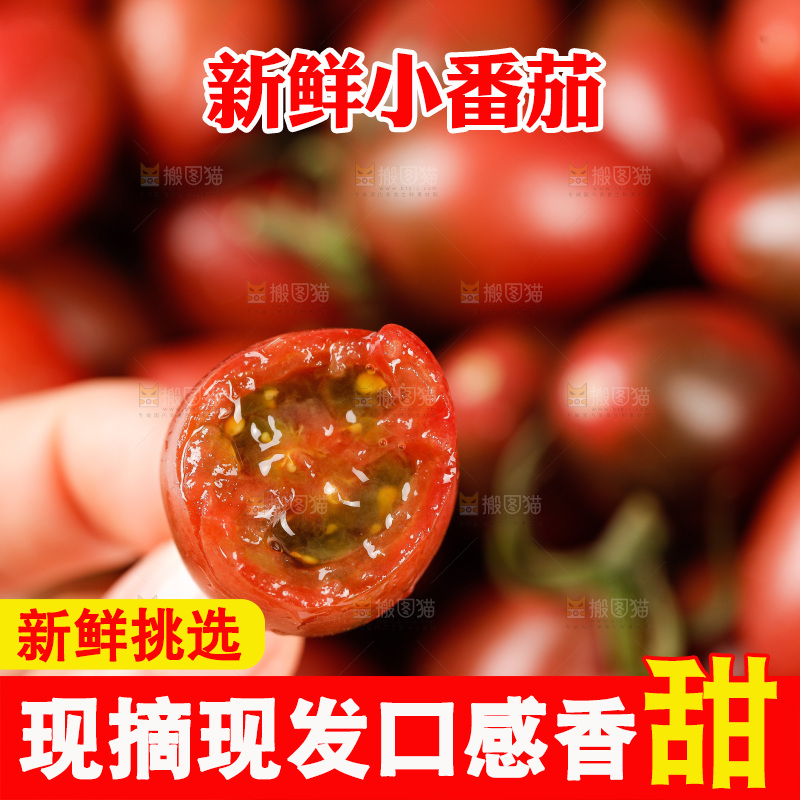 手里拿着混色小番茄