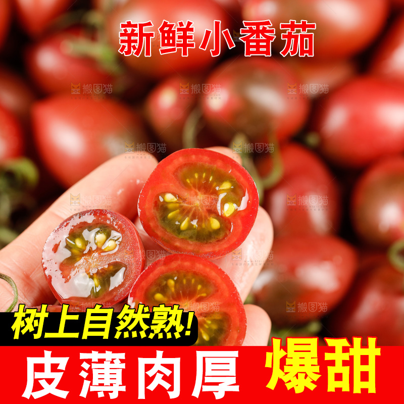 手里拿着混色小番茄