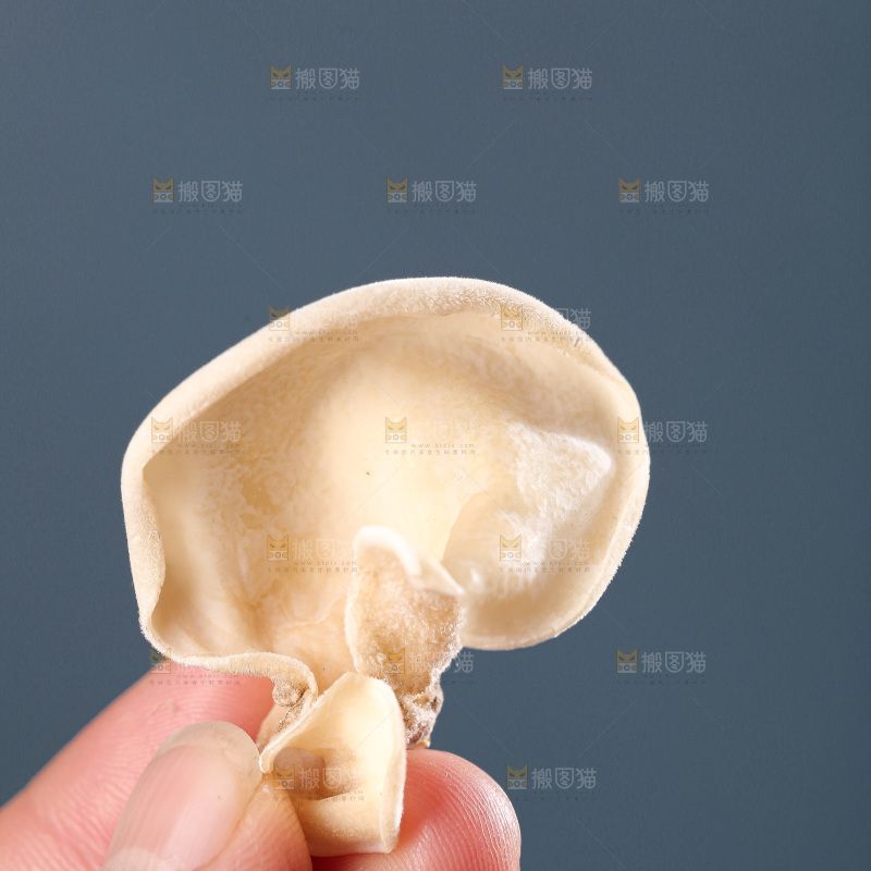 深底上白玉木耳