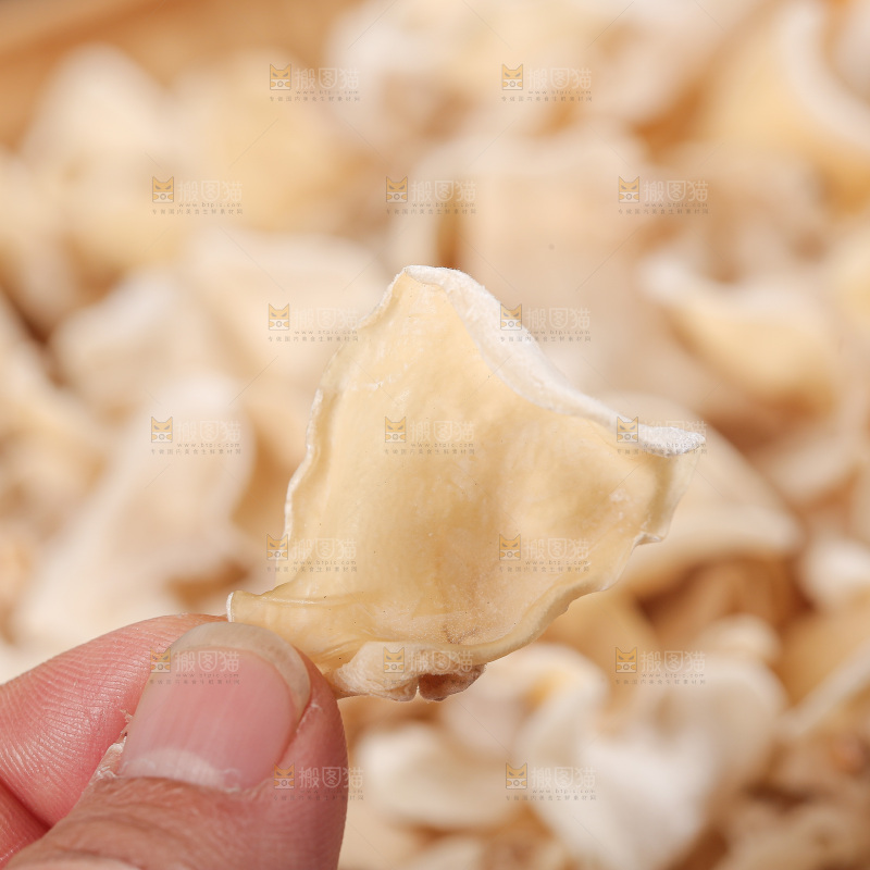 深底上白玉木耳