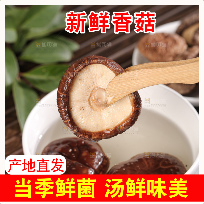 深底上的香菇