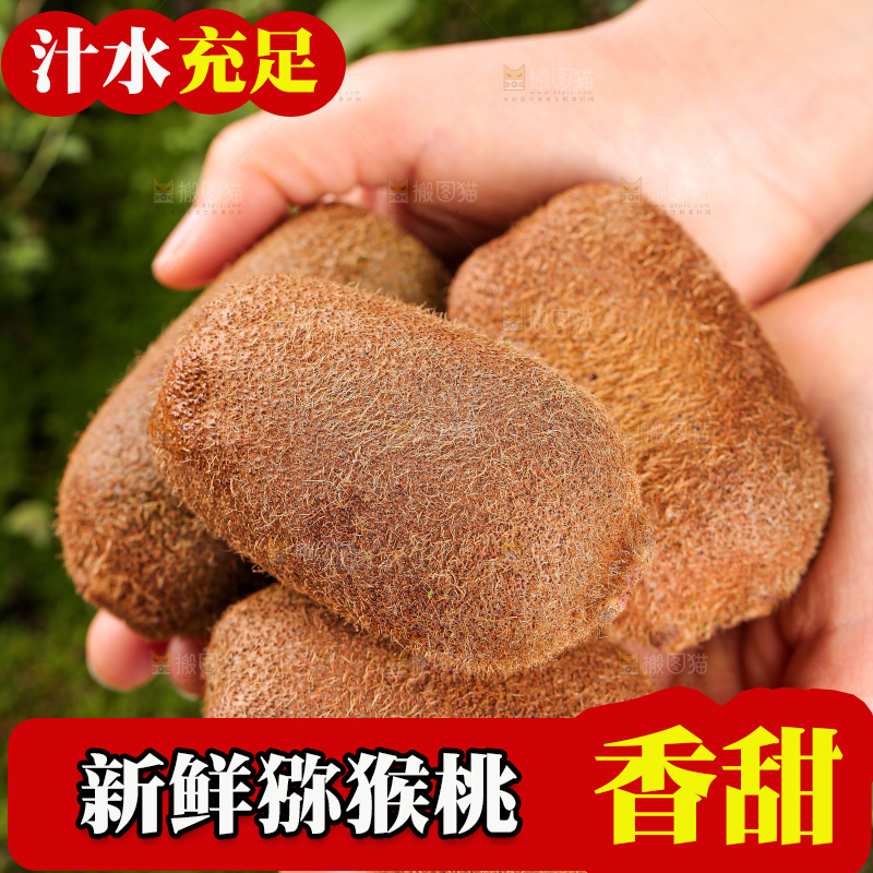 深底上的猕猴桃