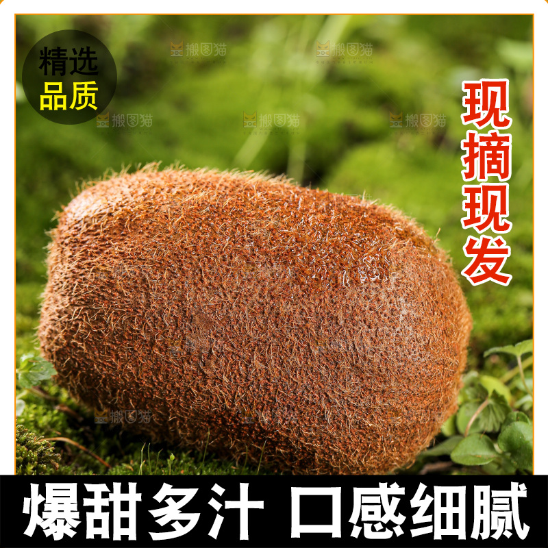 深底上的猕猴桃
