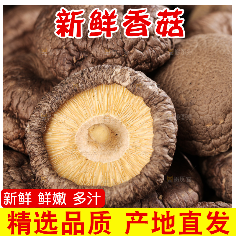深底上的香菇