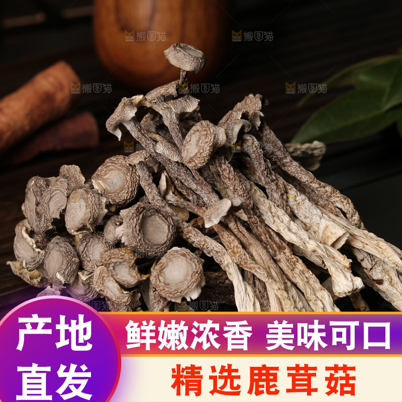 深底上鹿茸菇