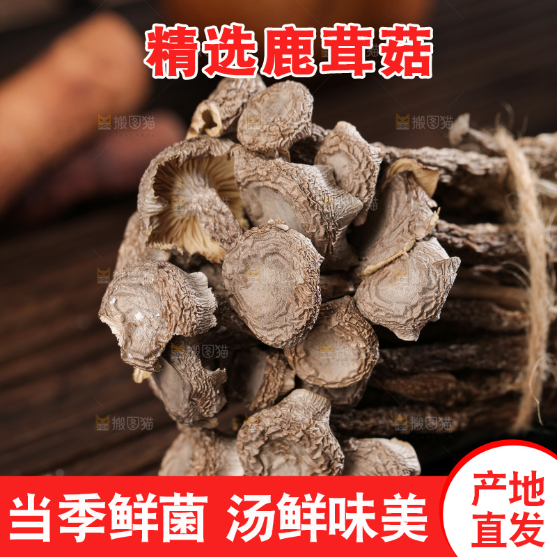 深底上鹿茸菇