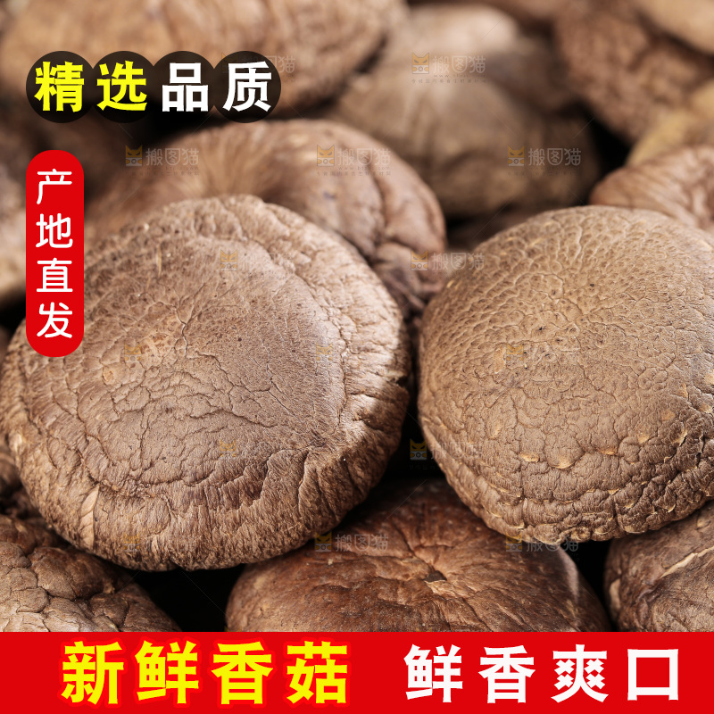 深底上的香菇