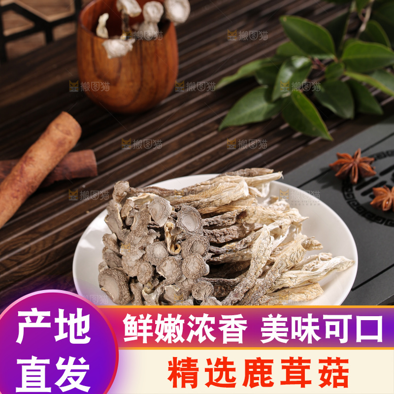 深底上鹿茸菇