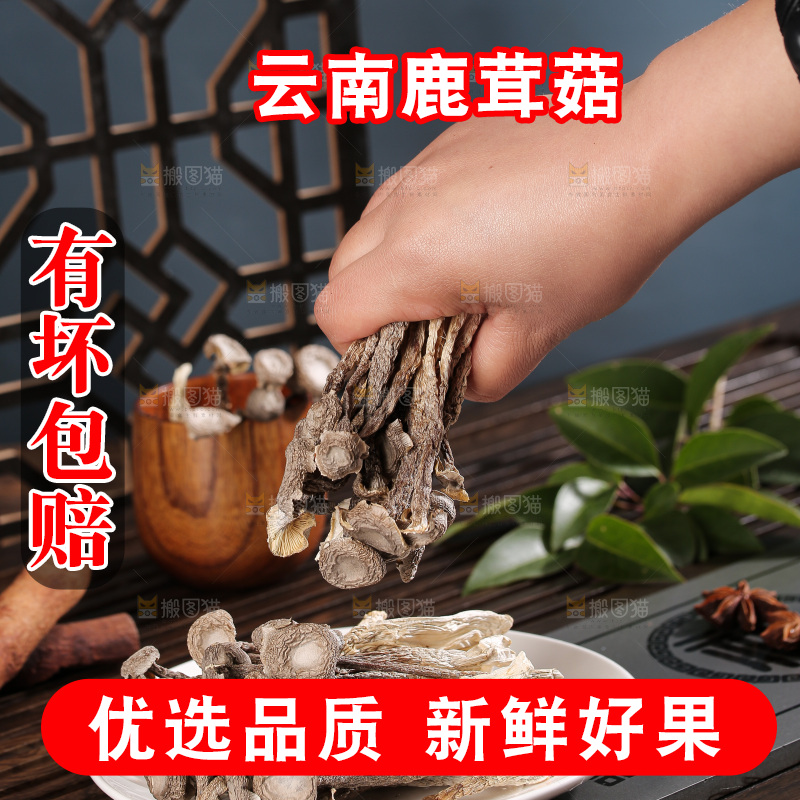 深底上鹿茸菇