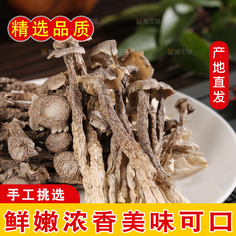 深底上鹿茸菇