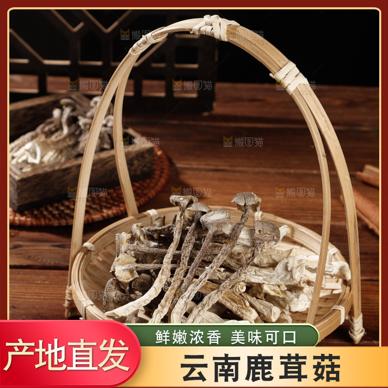 深色底上鹿茸菇