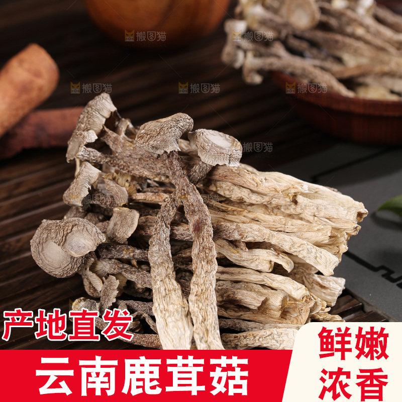深底上鹿茸菇